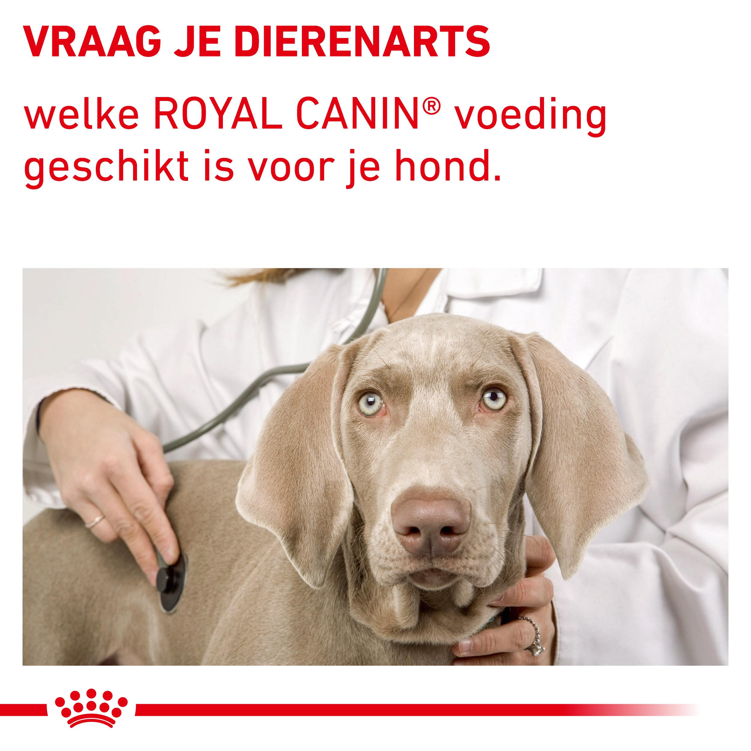 Royal Canin Expert Neutered Junior hondenvoer