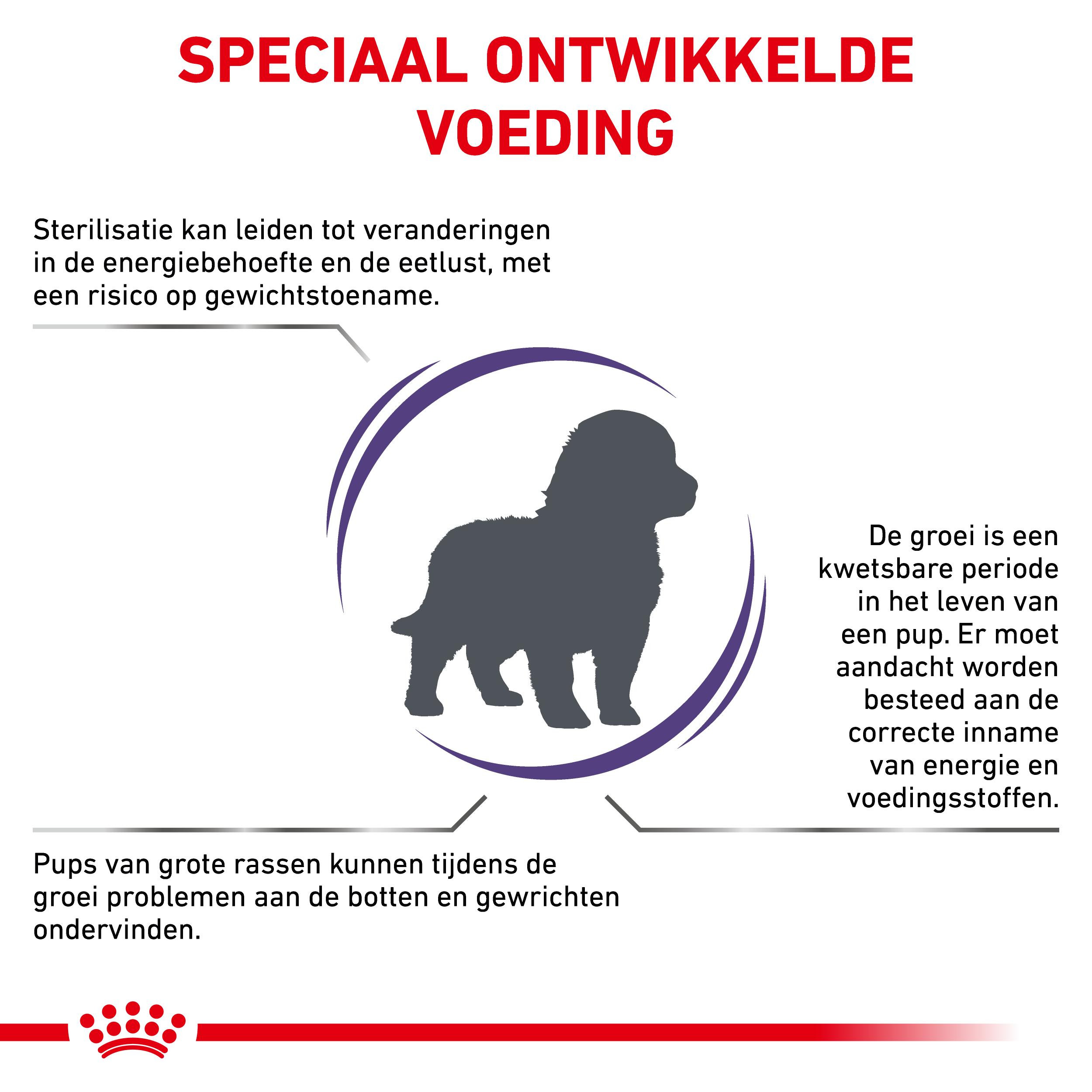 Royal Canin Expert Neutered Junior Large Dogs hondenvoer