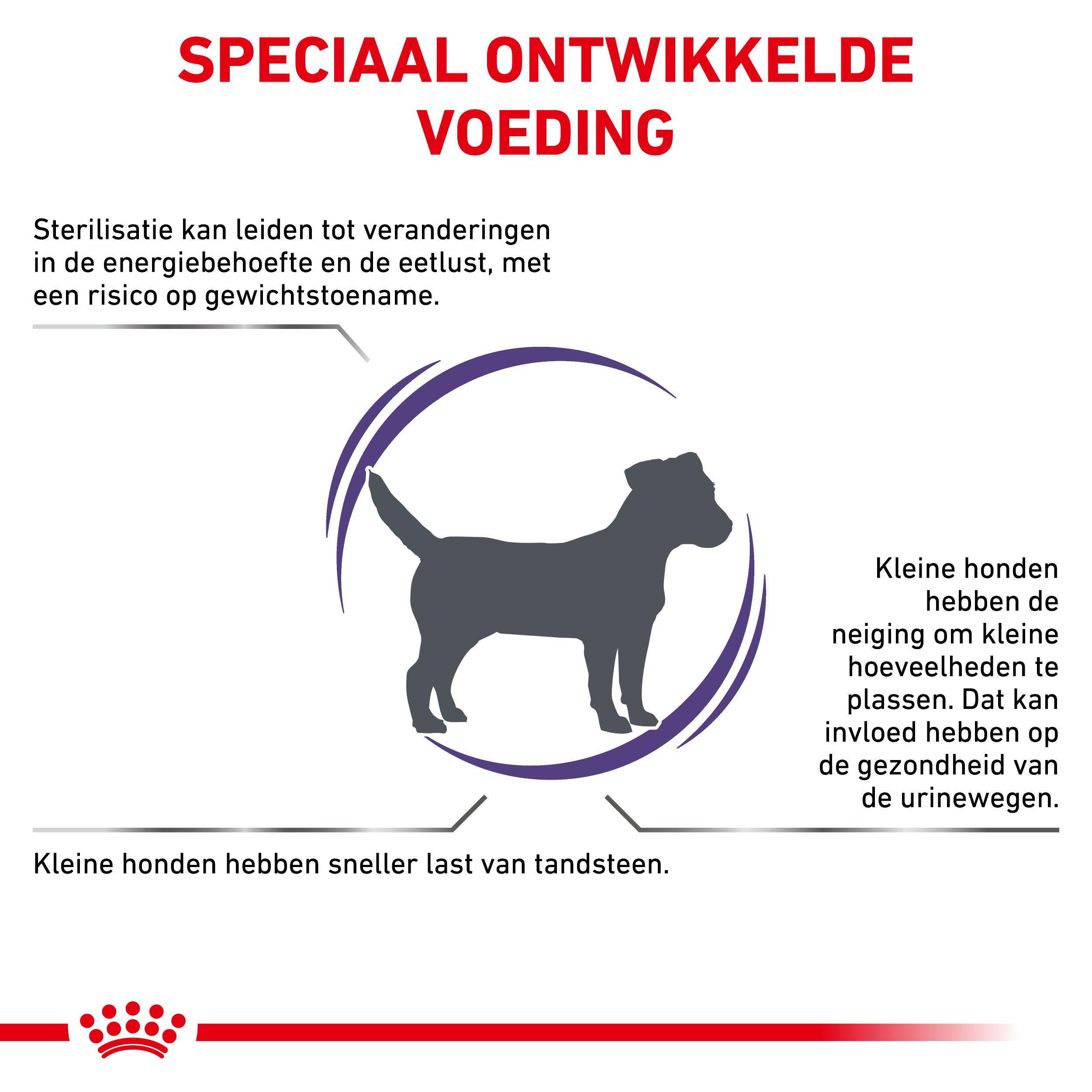 Royal Canin Expert Neutered Adult Small Dogs hondenvoer