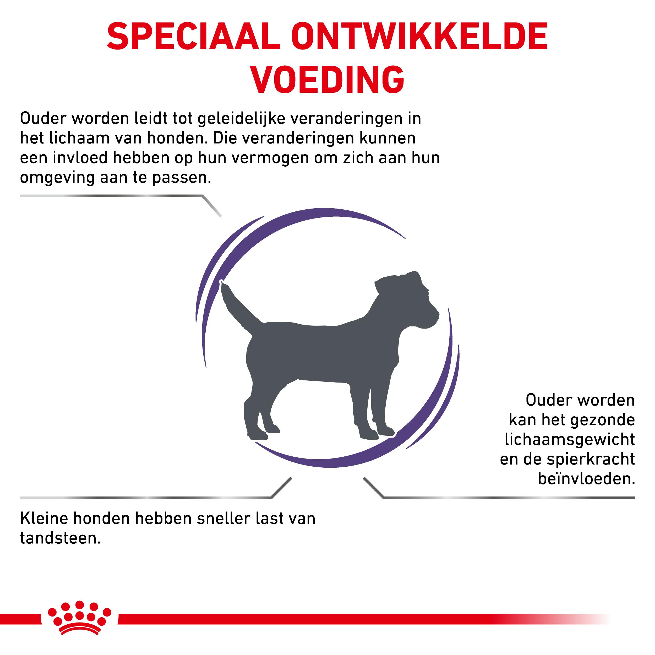 Royal Canin Expert Mature Consult Small Dogs hondenvoer