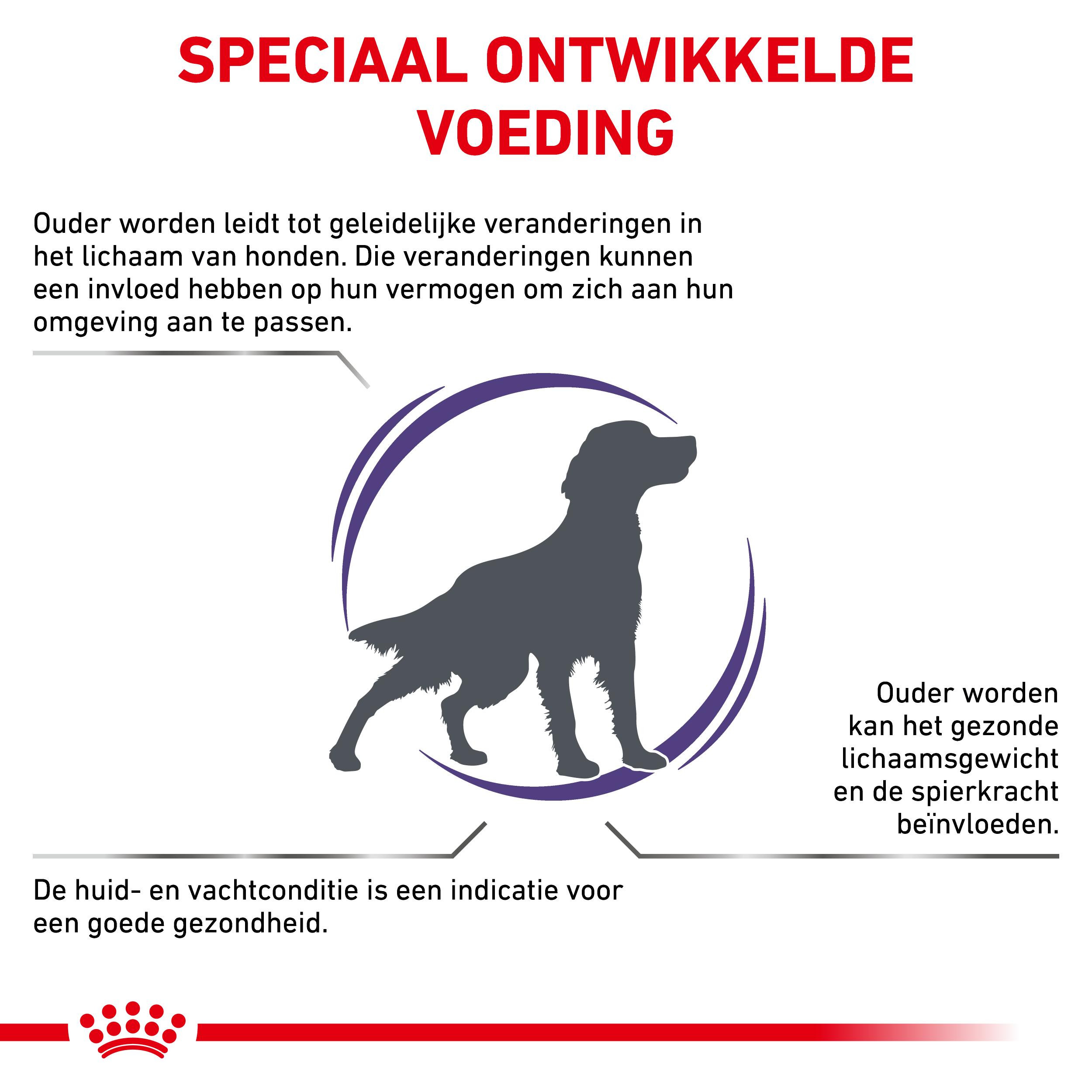 Royal Canin Expert Mature Consult Medium Dogs hondenvoer