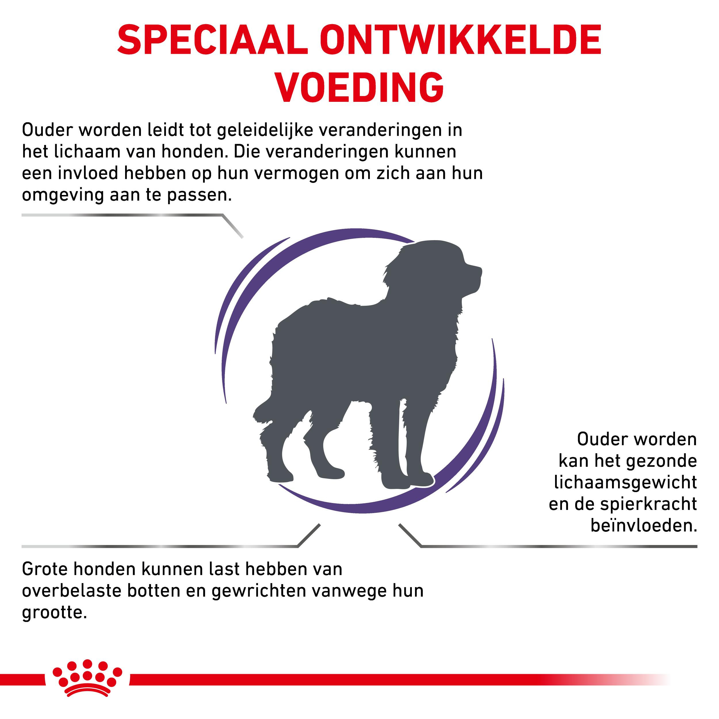 Royal Canin Expert Mature Consult Large Dogs hondenvoer