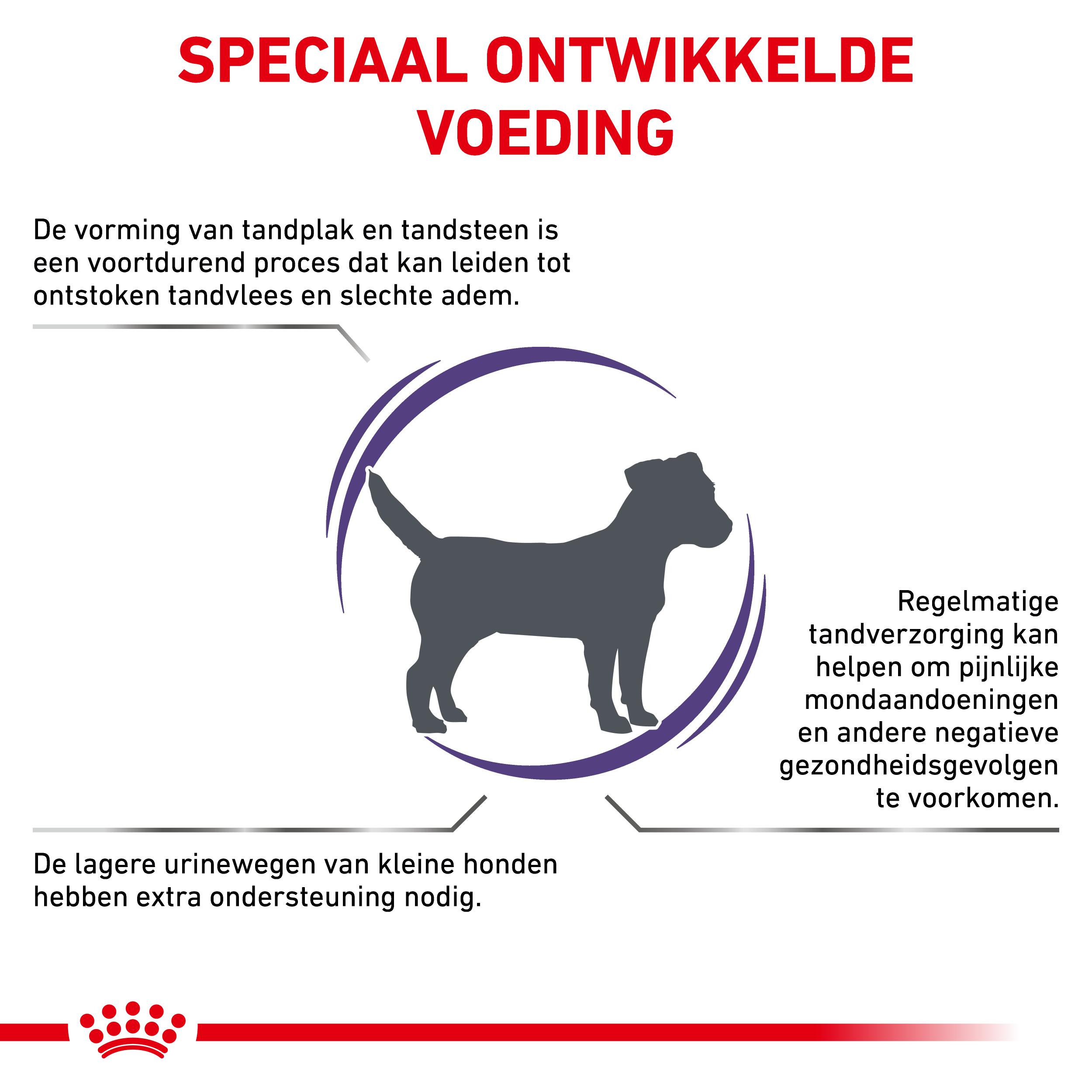 Royal Canin Expert Dental Small Dogs hondenvoer