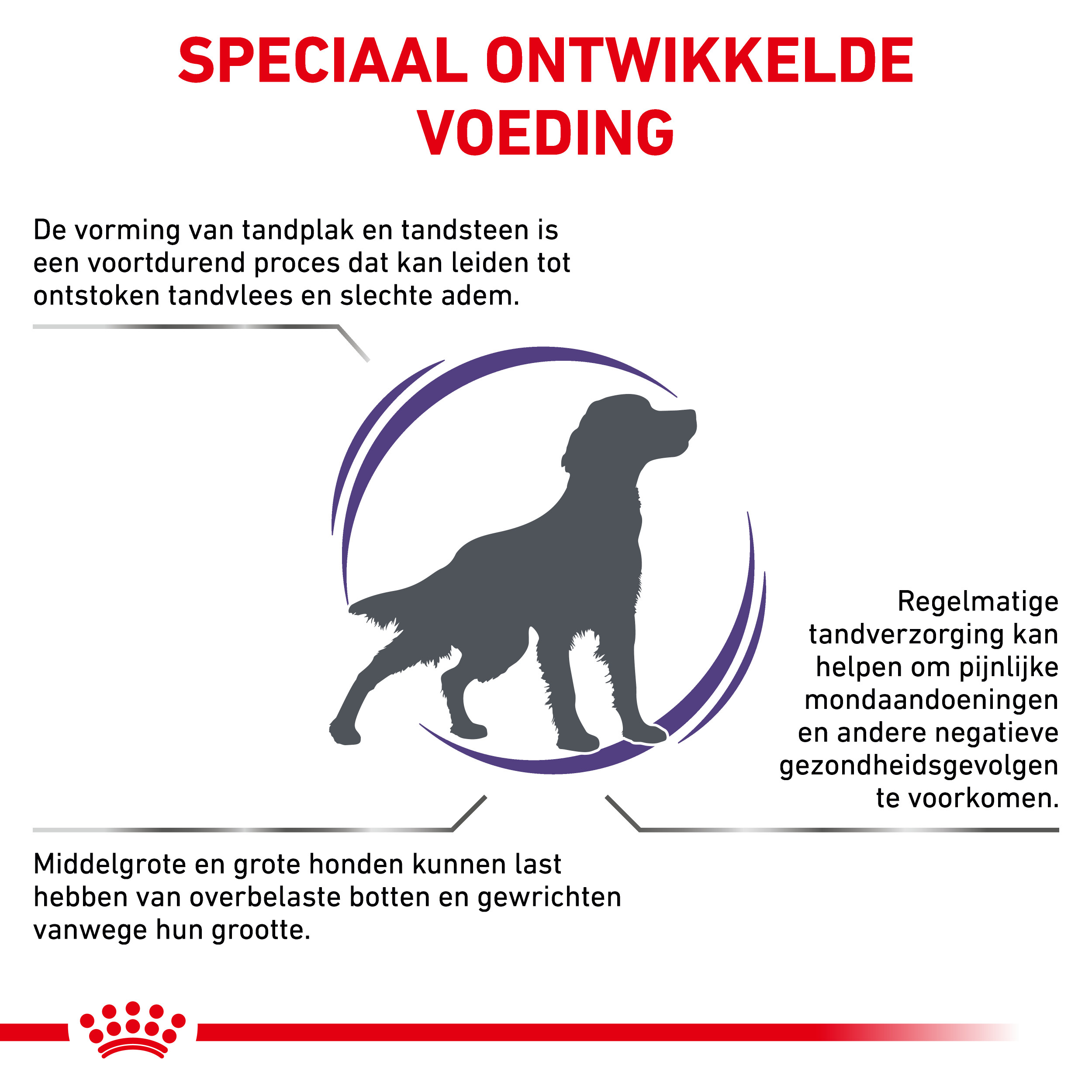 Royal Canin Expert Dental Medium & Large Dogs hondenvoer