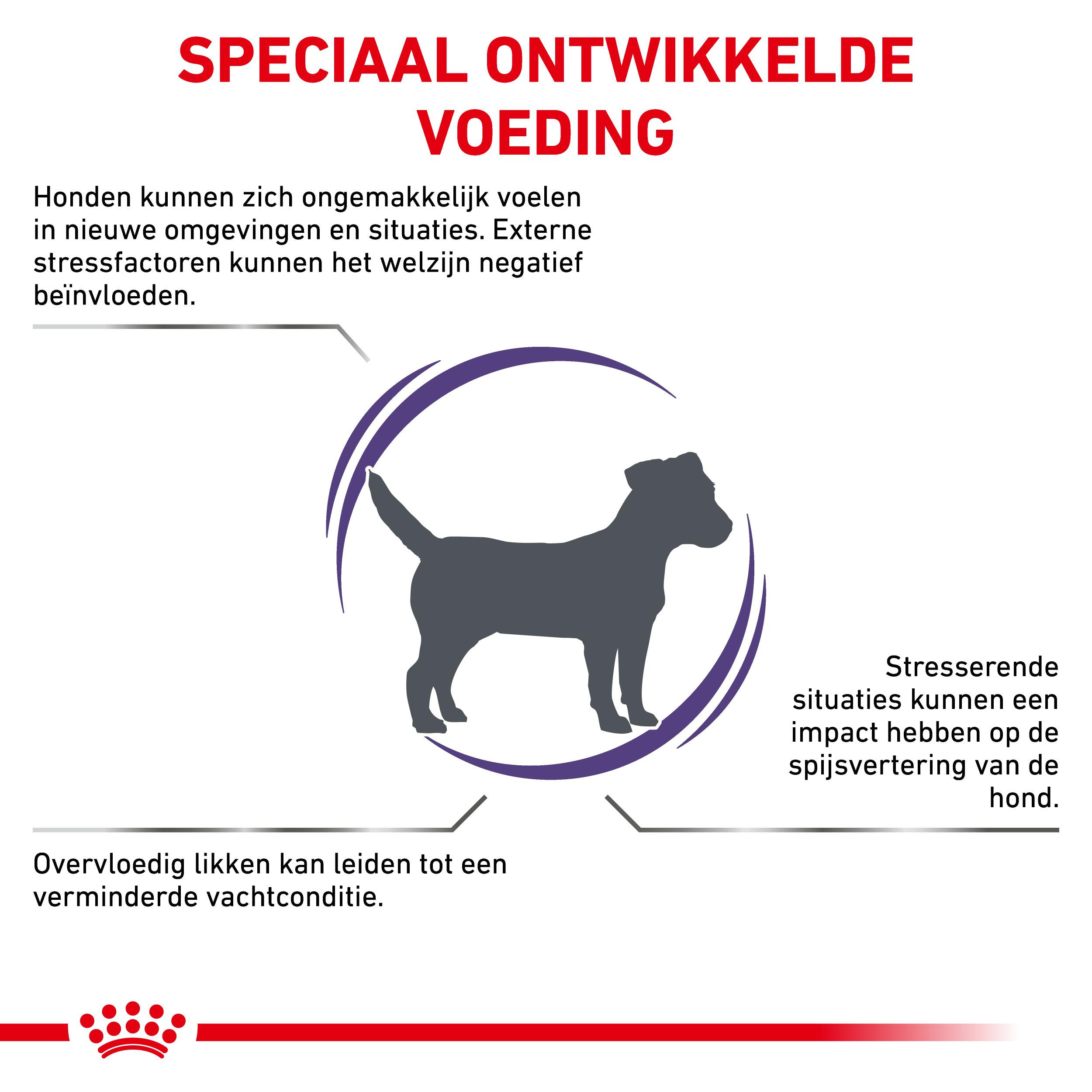 Royal Canin Expert Calm Small Dogs hondenvoer