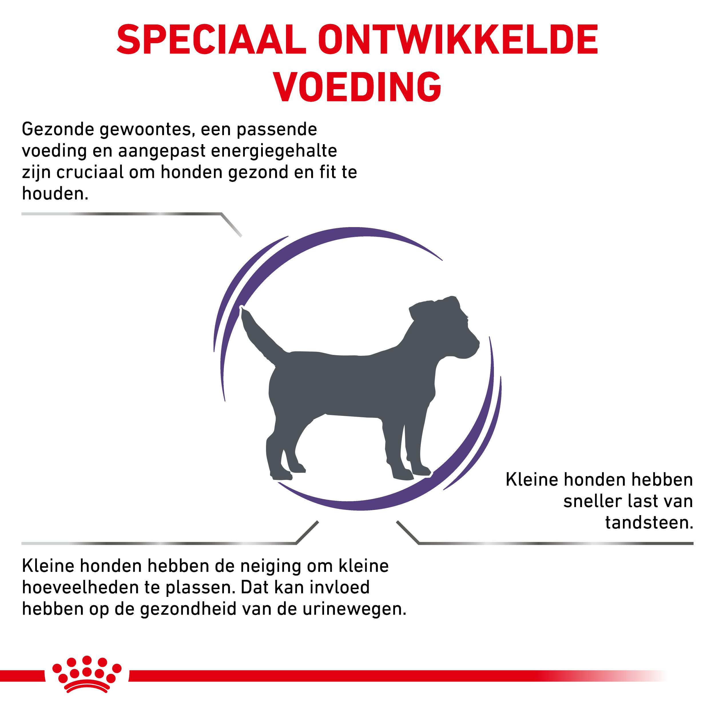 Royal Canin Expert Adult Small Dogs hondenvoer