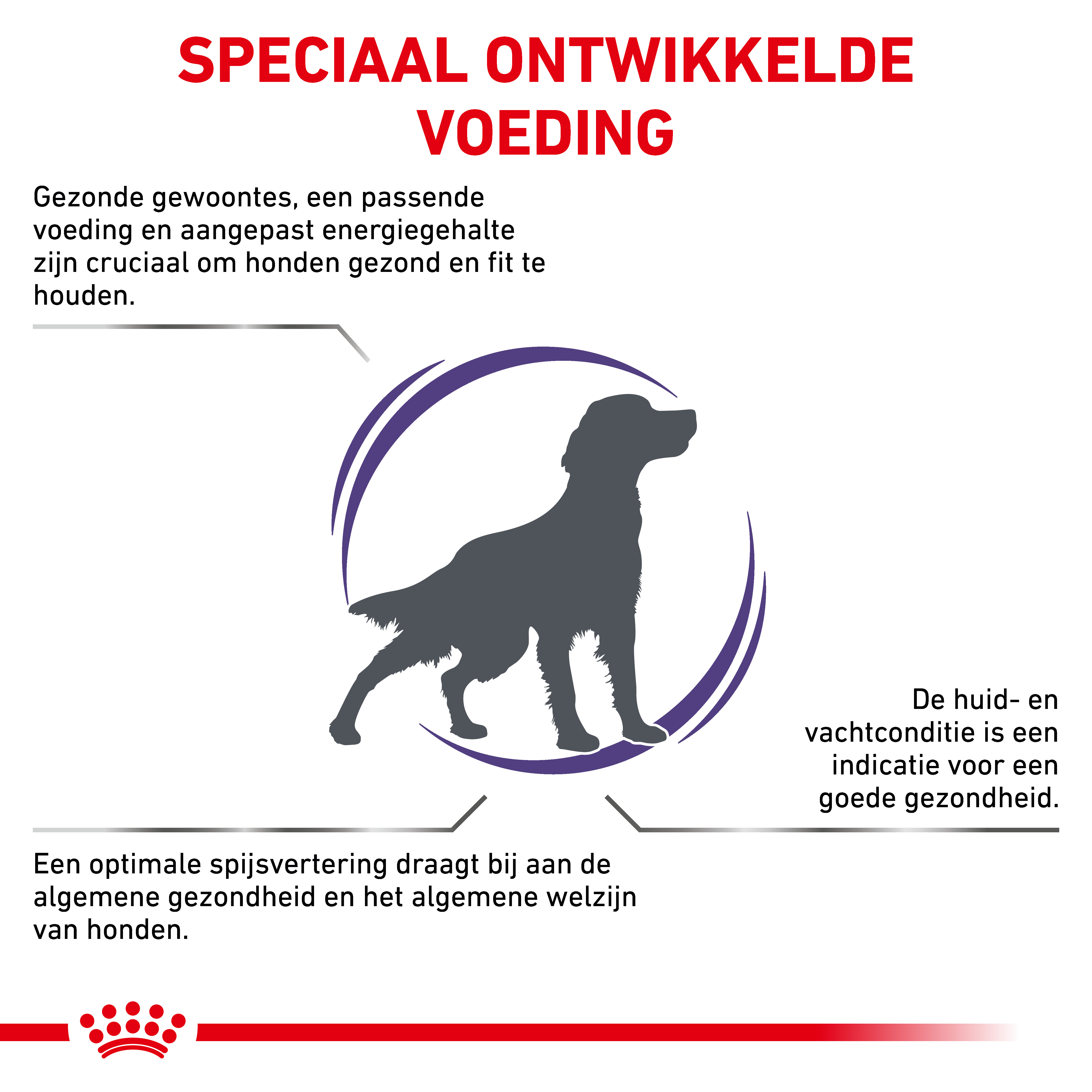 Royal Canin Expert Adult Medium Dogs hondenvoer