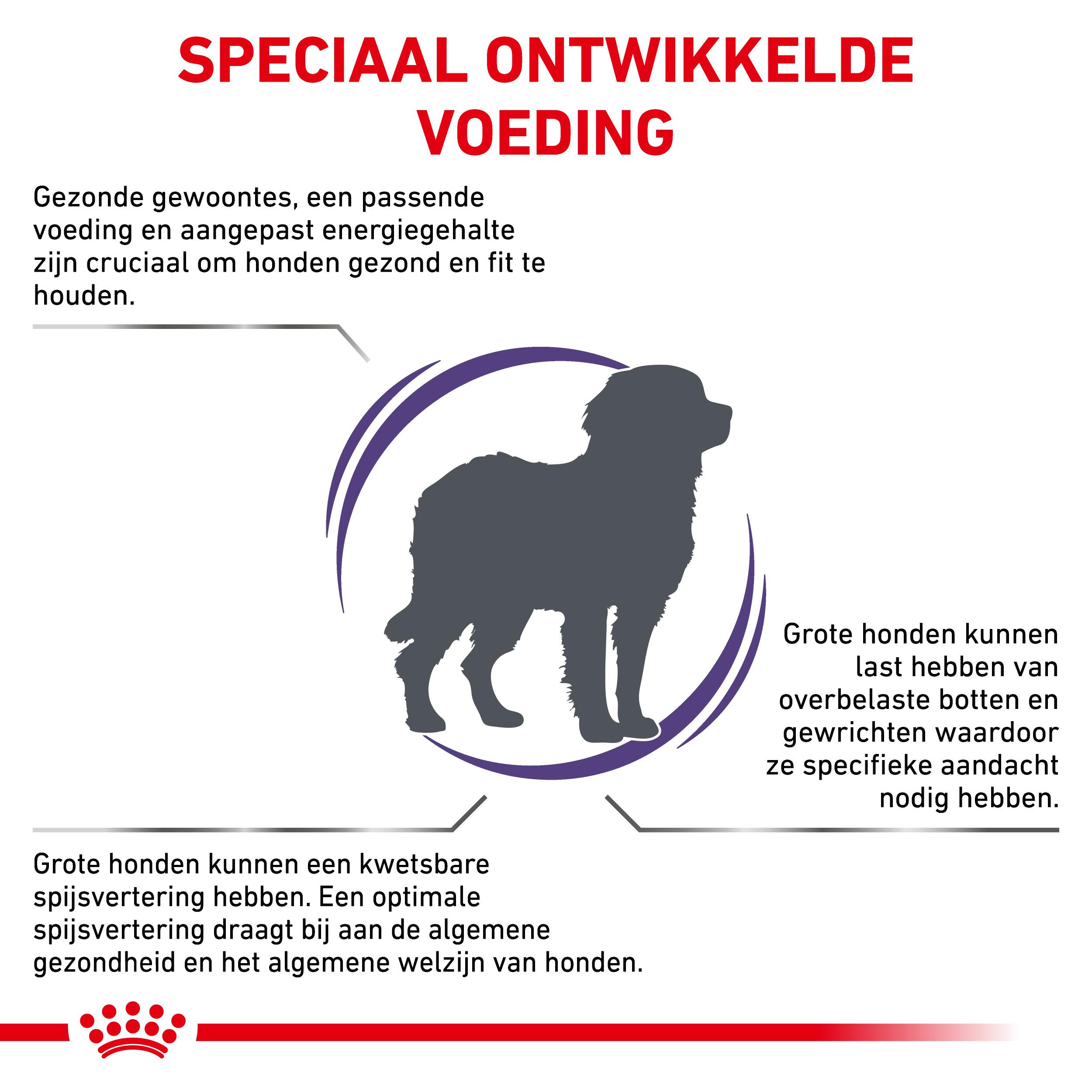 Royal Canin Expert Adult Large Dogs hondenvoer