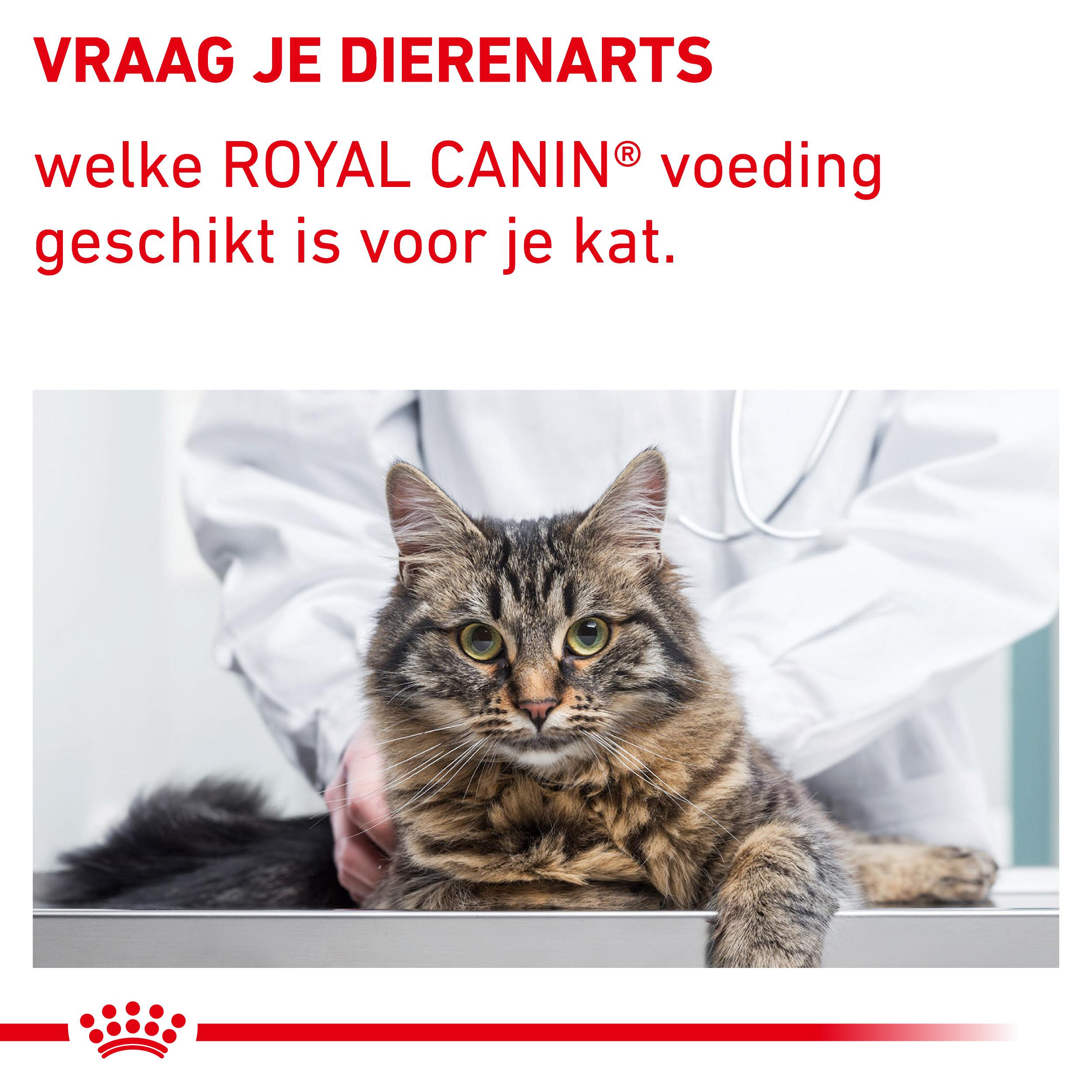 Royal Canin Expert Neutered Satiety Balance kattenvoer