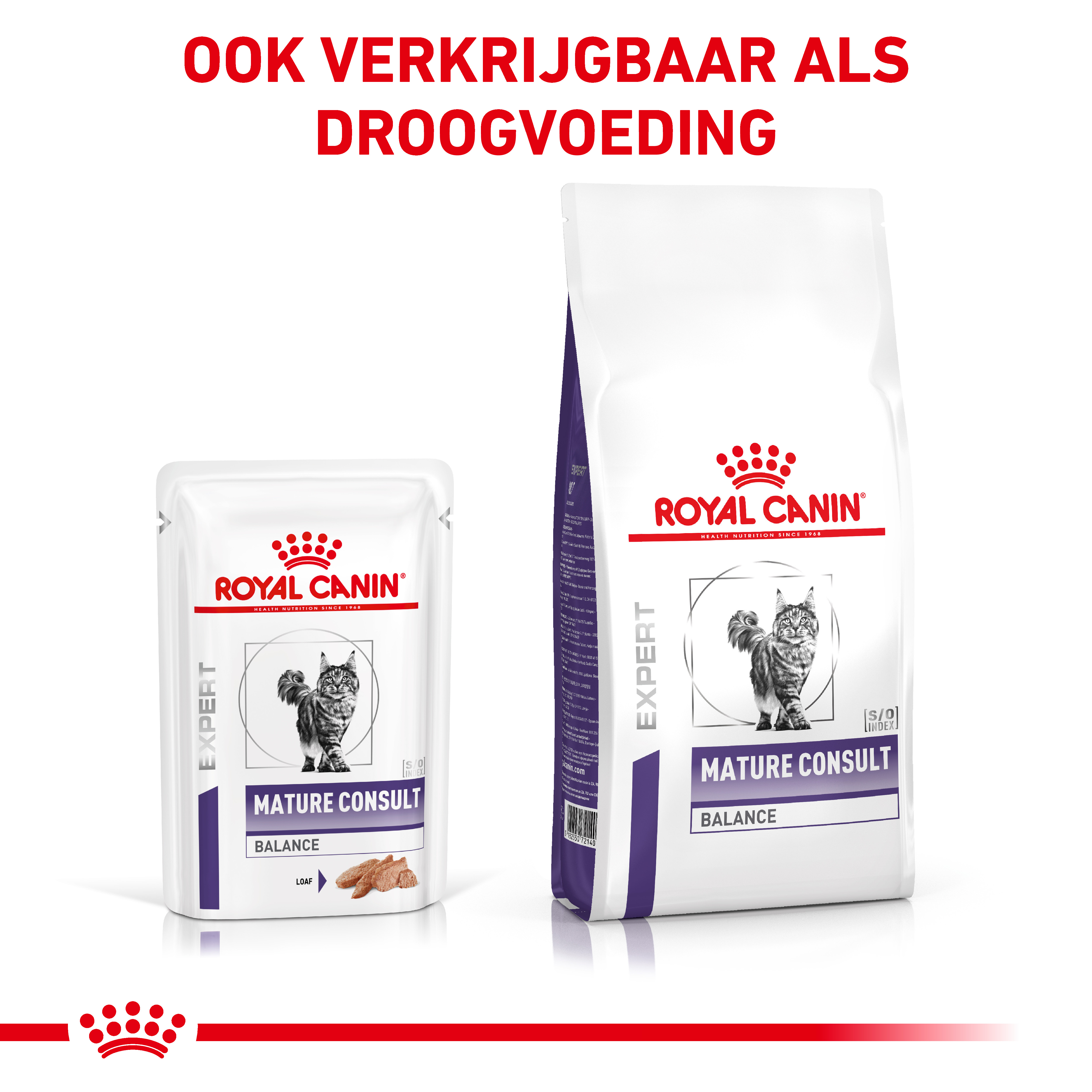 Royal Canin Expert Mature Consult Balance natvoer kat