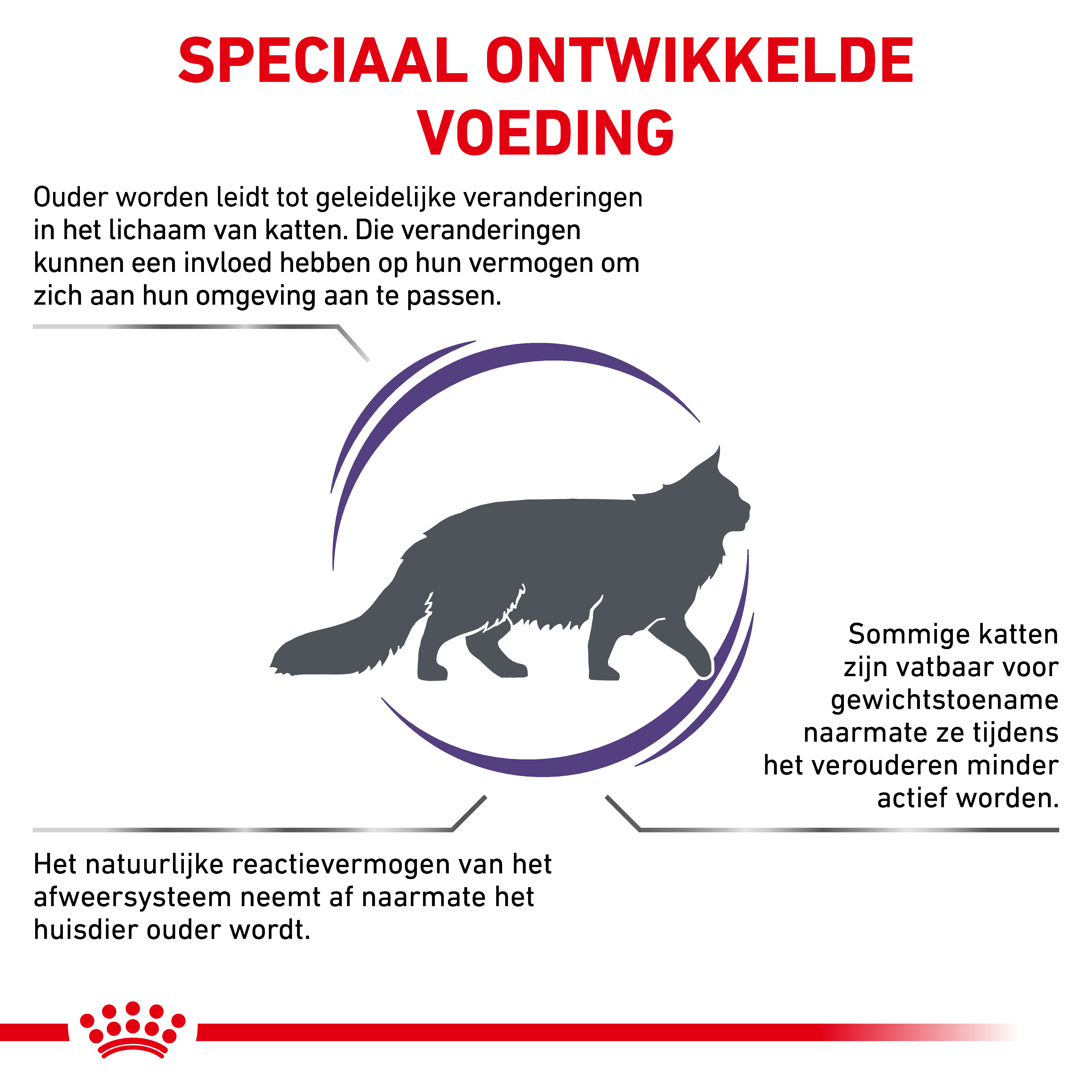 Royal Canin Expert Mature Consult Balance kattenvoer