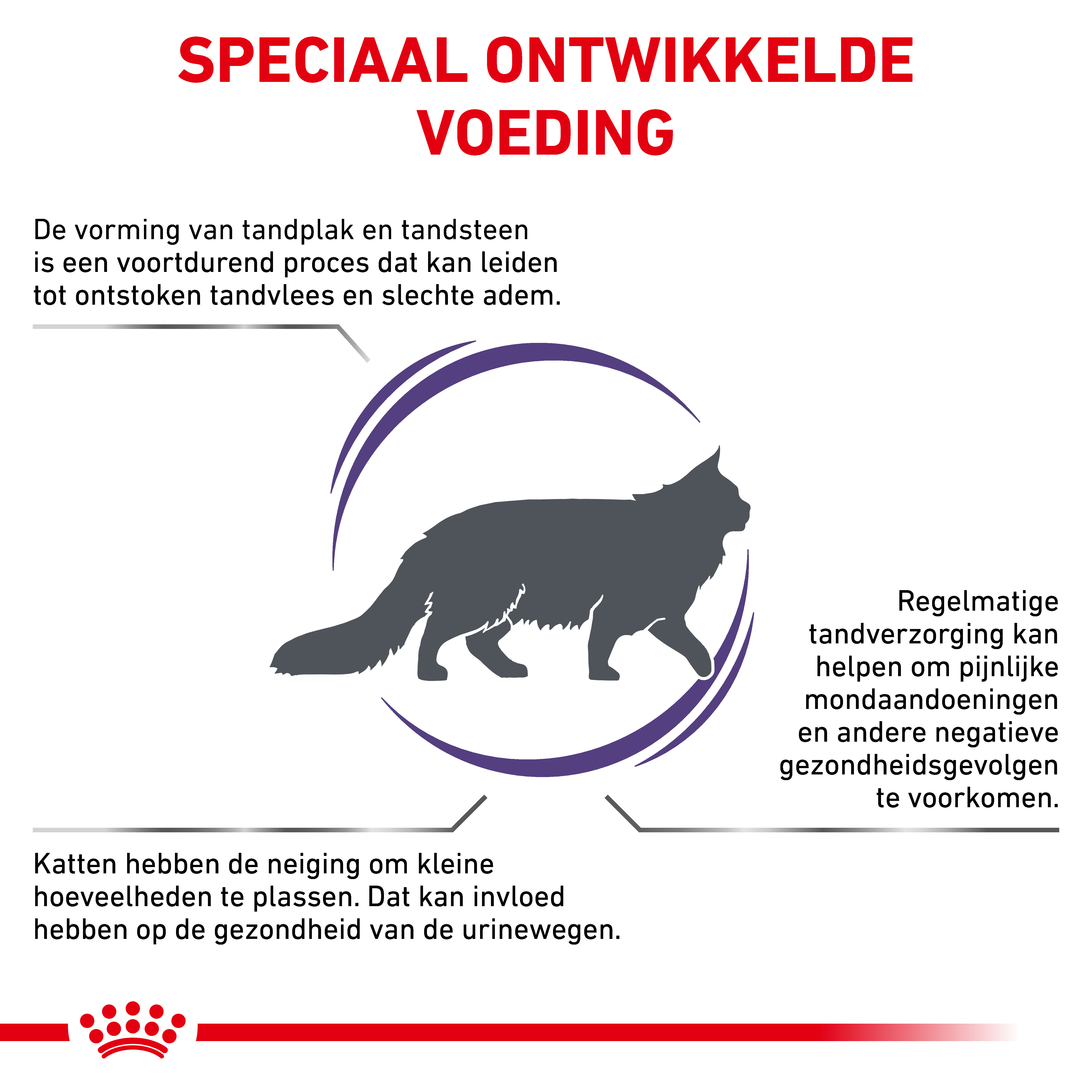 Royal Canin Dental Diet kattenvoer