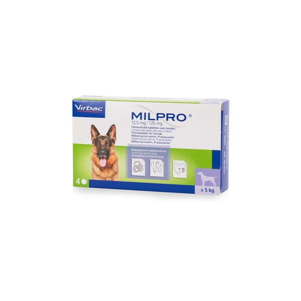 Milpro Grote Hond